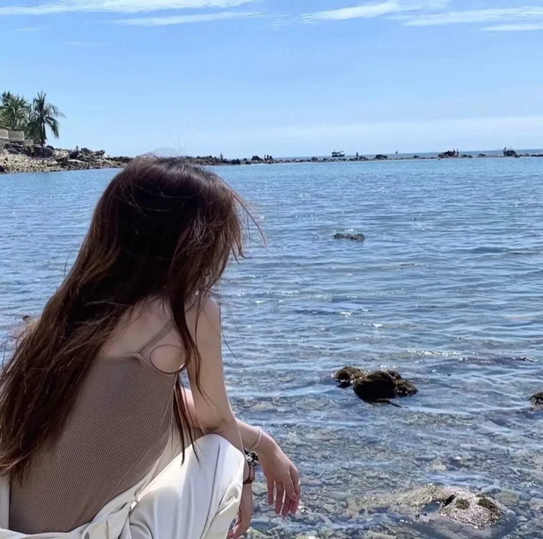 港湾第五季海报