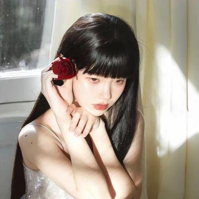 女王鲨海报