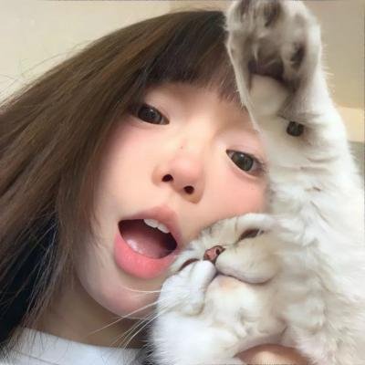谜之坠落海报